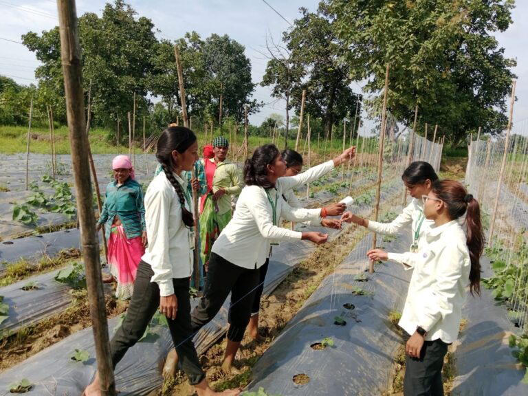 Plantation by Vanami Foundation